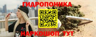 крисы Ангарск