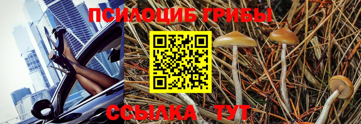 Псилоцибиновые грибы Magic Shrooms  Вход с VPN  Борисоглебск 